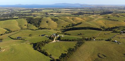 Foster Farm - VIC T (PBH4 00 11492)